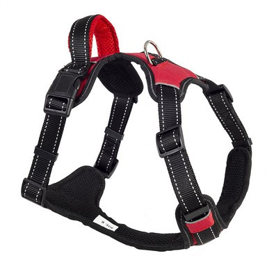 Шлейка нейлоновая "SPORT" с ручкой, размер L, обх.груди 65-80 см, красная