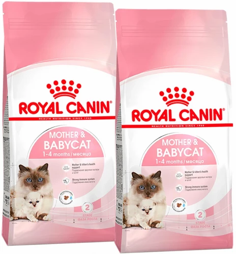Корм Royal Canin для котят и для беременных/лактирующих кошек