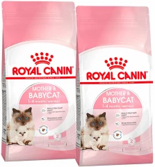 Корм Royal Canin для котят и для беременных/лактирующих кошек
