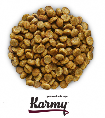 Корм Karmy РАЗВЕСНОЙ ADULT для взрослых кошек старше 1 года- курица 1 кг